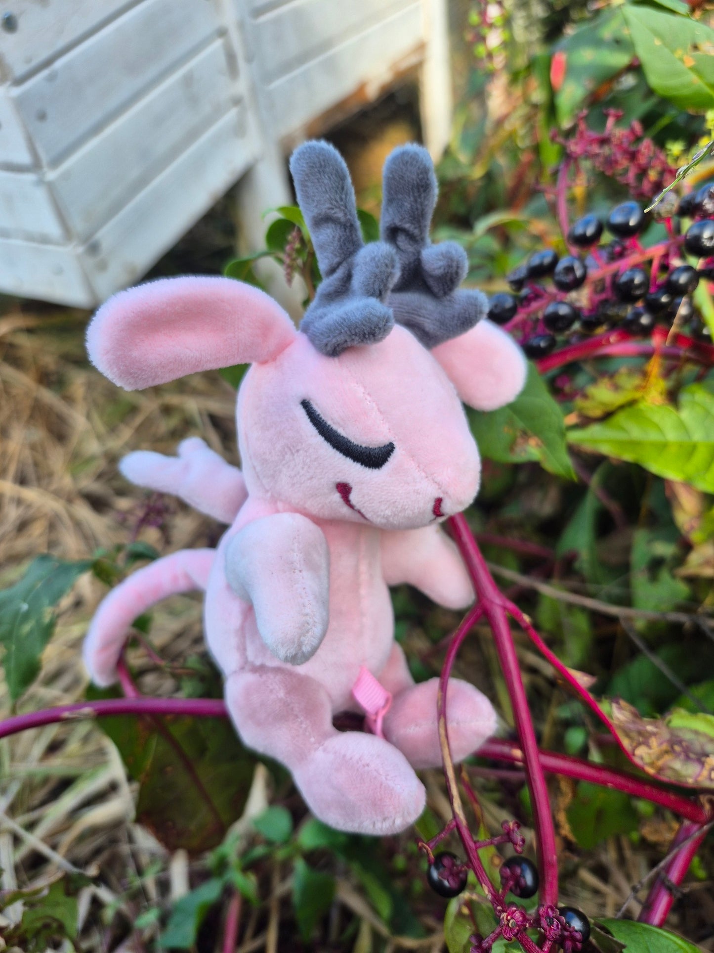 Cryptid Fetal Friends ~ Wolpertinger